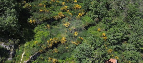 3 bedrooms House in Baiao, Portugal No. 29381 24