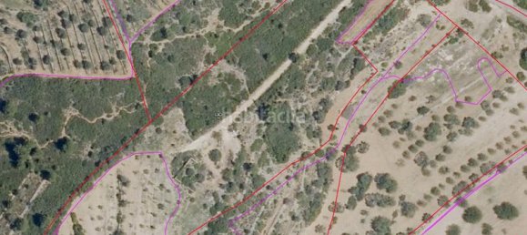 Grundstück in Castellon, Spain 18206m², Nr. 165430 4