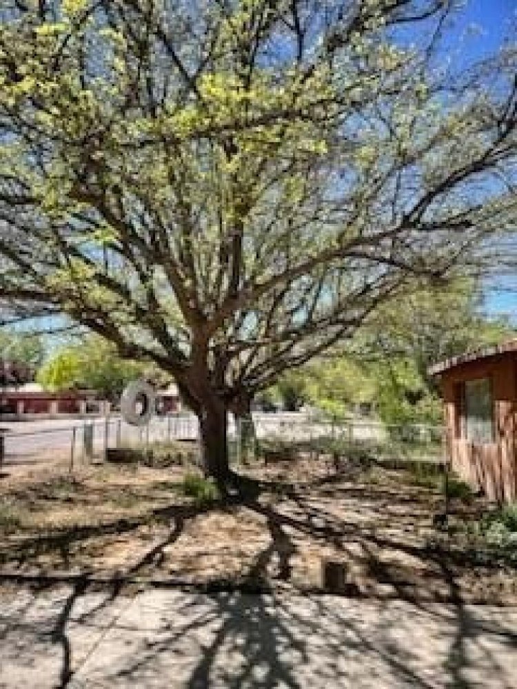 4 Schlafzimmer Haus in Albuquerque, USA, Nr. 373249