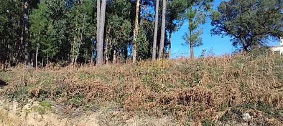 قطعة أرض في Barcelos, Portugal رقم 33589 2