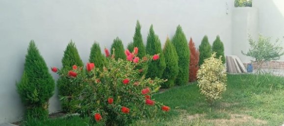 Дом с 3 комнатами в Дзинаско, Италия № 299831 20