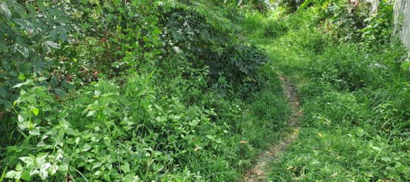 Terrain à West Nusa Tenggara, Indonesia 4600m² No. 4064 16