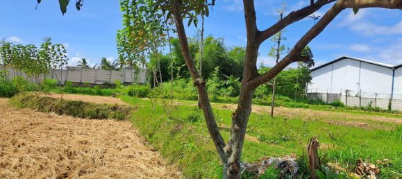 Terrain à West Nusa Tenggara, Indonesia 4600m² No. 4064 17