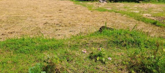 Terrain à West Nusa Tenggara, Indonesia 4600m² No. 4064 9