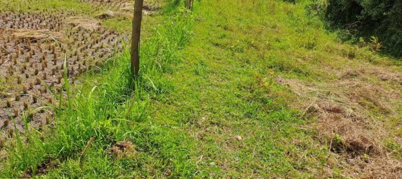 Terrain à West Nusa Tenggara, Indonesia 4600m² No. 4064 3