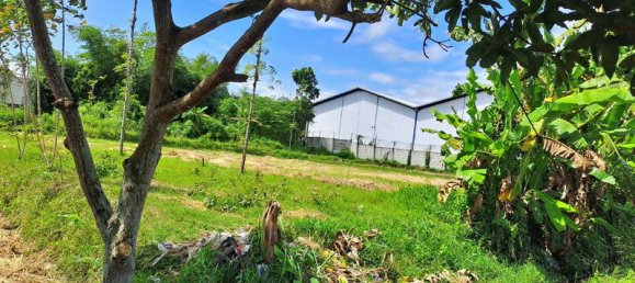 Terrain à West Nusa Tenggara, Indonesia 4600m² No. 4064 5