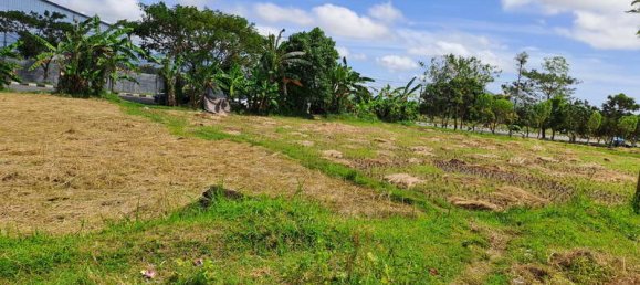 Terrain à West Nusa Tenggara, Indonesia 4600m² No. 4064 7