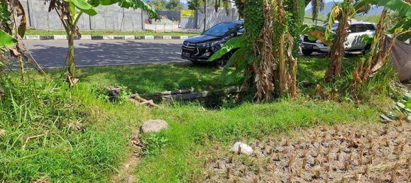 Terrain à West Nusa Tenggara, Indonesia 4600m² No. 4064 6