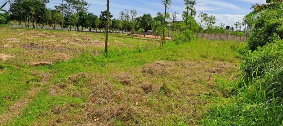 Terrain à West Nusa Tenggara, Indonesia 4600m² No. 4064 8