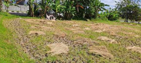 Terrain à West Nusa Tenggara, Indonesia 4600m² No. 4064 13