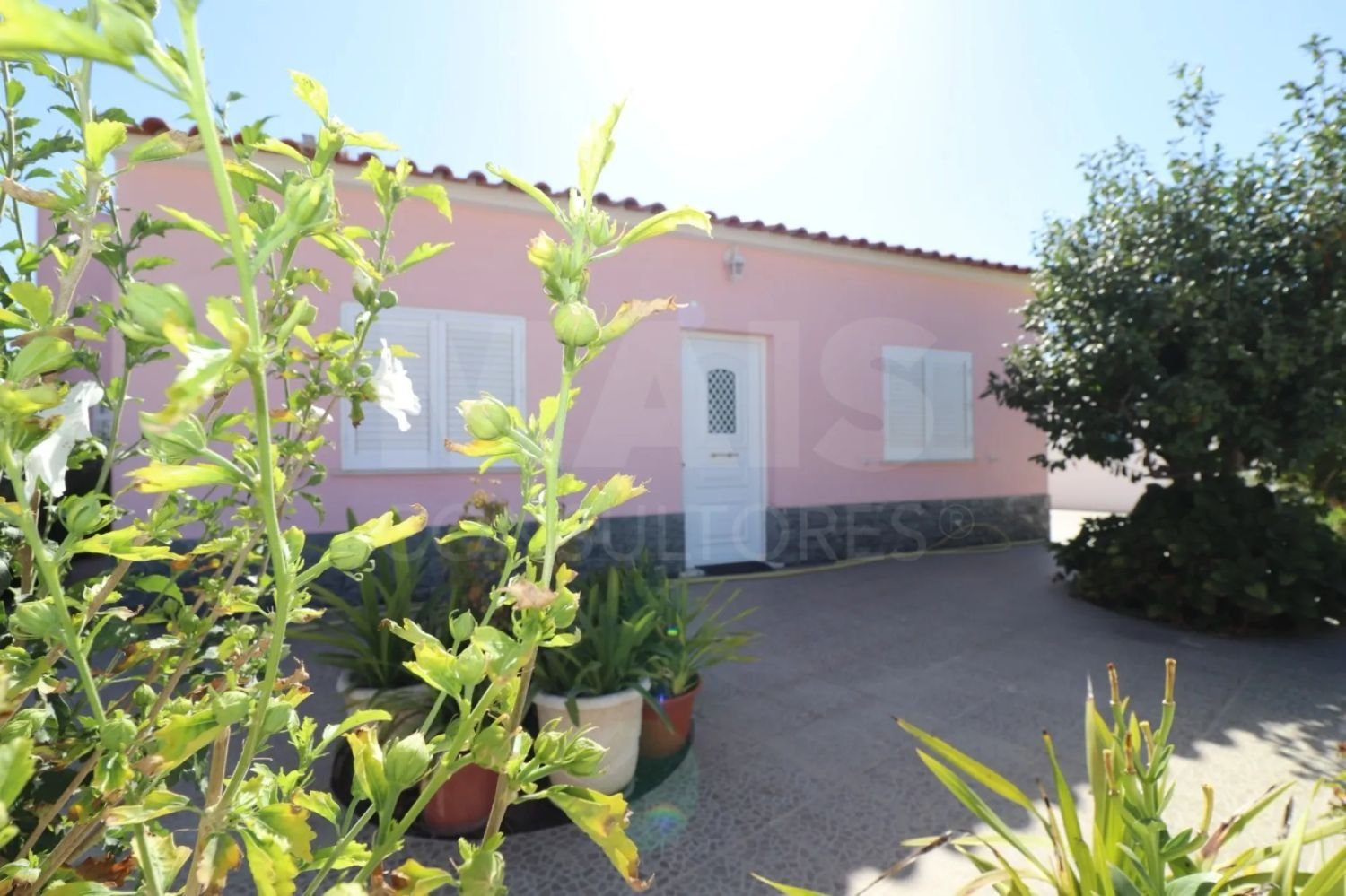 2 bedrooms House in Marinhais, Portugal No. 314242