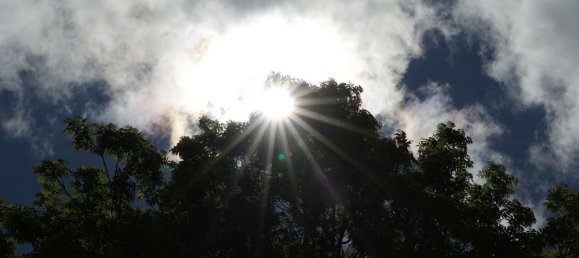 قطعة أرض في Violay, France 865متر مربع رقم 319303 13