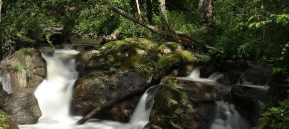 قطعة أرض في Violay, France 865متر مربع رقم 319303 11