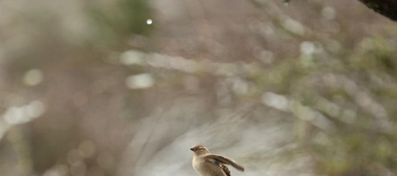 قطعة أرض في Violay, France 865متر مربع رقم 319303 12