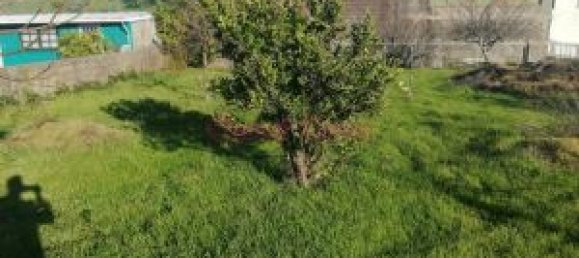 3 Schlafzimmer Haus in Rebordosa, Portugal, Nr. 45804 7