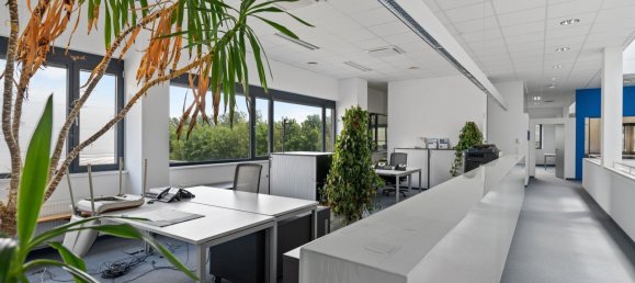 Gewerbliche Immobilie in Güssing, Austria 1434m², Nr. 29168 8