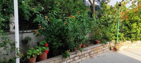 Apartamento de 1 dormitorio en Uggiano la Chiesa, Italy No. 85422 6