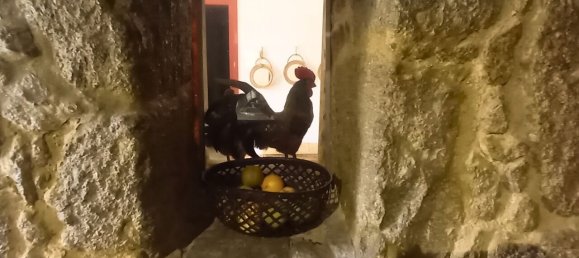 6 Schlafzimmer Schlösser in Povoa de Varzim, Portugal, Nr. 138852 20