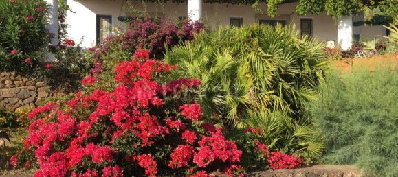 10-salle Villa à Malfa, Italy No. 331957 9