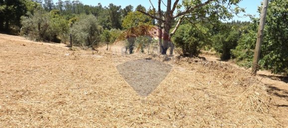 2 chambres Maison à Aguas Belas, Portugal No. 186778 26