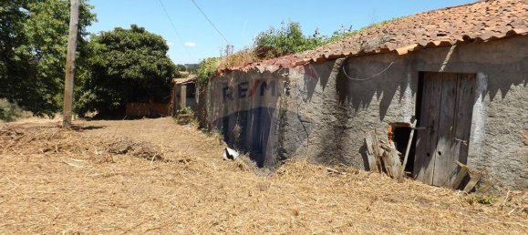2 chambres Maison à Aguas Belas, Portugal No. 186778 30