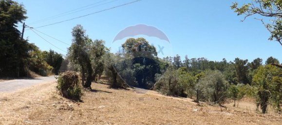 2 chambres Maison à Aguas Belas, Portugal No. 186778 27