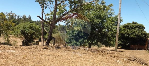 2 chambres Maison à Aguas Belas, Portugal No. 186778 29