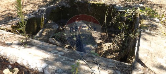 2 chambres Maison à Aguas Belas, Portugal No. 186778 12