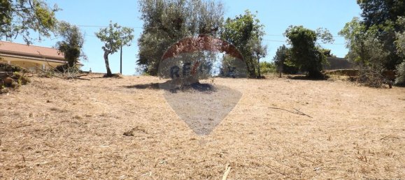 2 chambres Maison à Aguas Belas, Portugal No. 186778 22