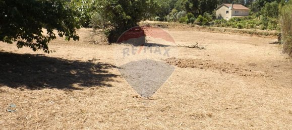 2 chambres Maison à Aguas Belas, Portugal No. 186778 19