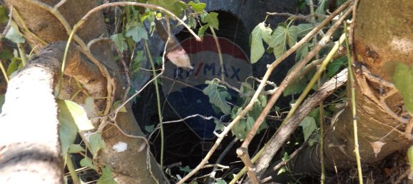 2 chambres Maison à Aguas Belas, Portugal No. 186778 14