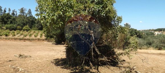 2 chambres Maison à Aguas Belas, Portugal No. 186778 24