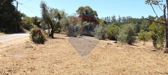 2 chambres Maison à Aguas Belas, Portugal No. 186778 25