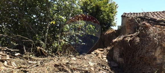 2 chambres Maison à Aguas Belas, Portugal No. 186778 10