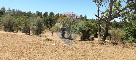 2 chambres Maison à Aguas Belas, Portugal No. 186778 28