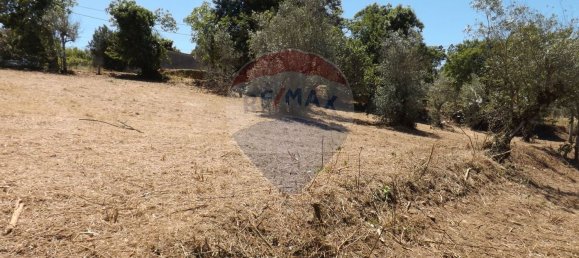 2 chambres Maison à Aguas Belas, Portugal No. 186778 21