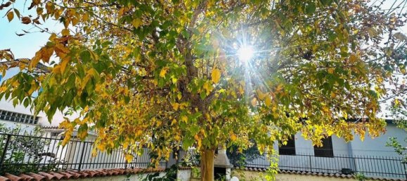 4غرفة فيلا في Terracina, Italy رقم 139768 5