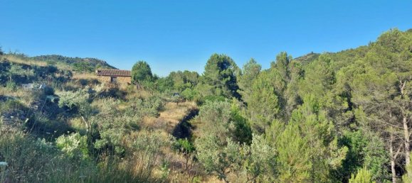 Земельный участок с 1 спальней в Халон, Испания № 142237 8