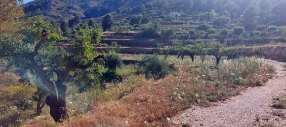 Земельный участок с 1 спальней в Халон, Испания № 142237 12