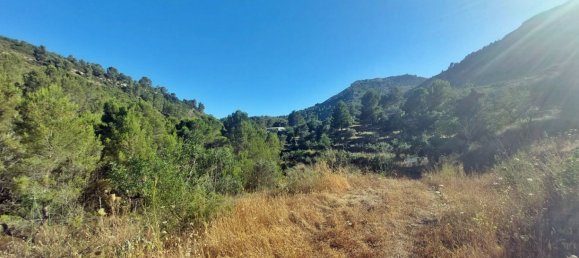 Земельный участок с 1 спальней в Халон, Испания № 142237 10