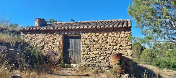 Земельный участок с 1 спальней в Халон, Испания № 142237 5