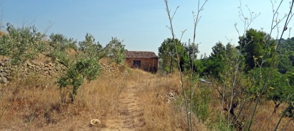 Земельный участок с 1 спальней в Халон, Испания № 142237 6