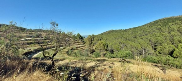 Земельный участок с 1 спальней в Халон, Испания № 142237 9