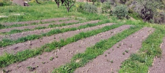 Земельный участок с 1 спальней в Халон, Испания № 142237 2