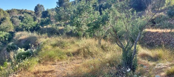 Земельный участок с 1 спальней в Халон, Испания № 142237 11