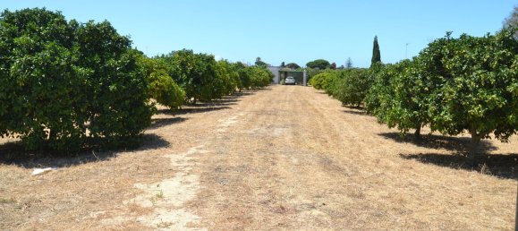 4500m² Land in Cadiz, Spain No. 145087 3