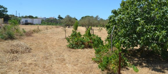 4500m² Land in Cadiz, Spain No. 145087 14