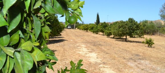 4500m² Land in Cadiz, Spain No. 145087 6