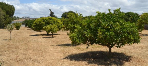 4500m² Land in Cadiz, Spain No. 145087 20