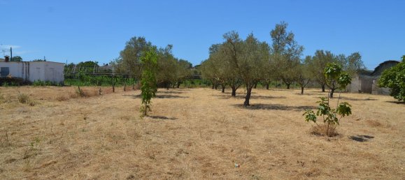 4500m² Land in Cadiz, Spain No. 145087 22
